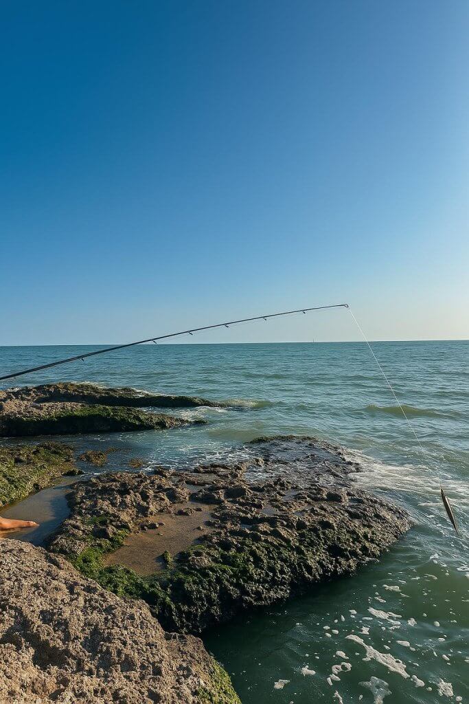canne à pêche du bord