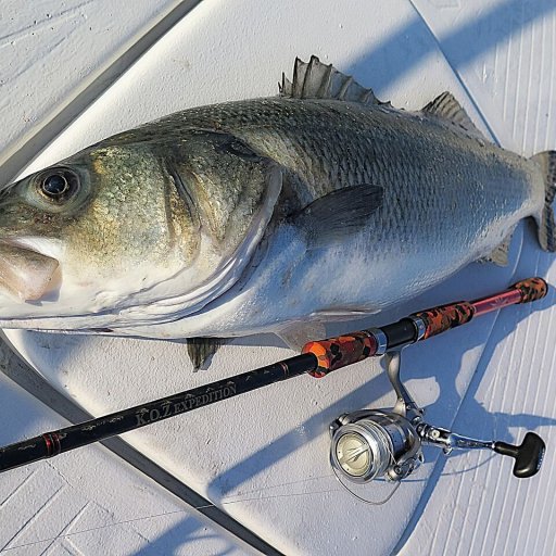 bar sur le pont d'un bateau